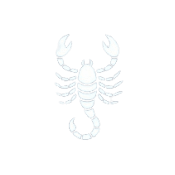 বৃশ্চিক