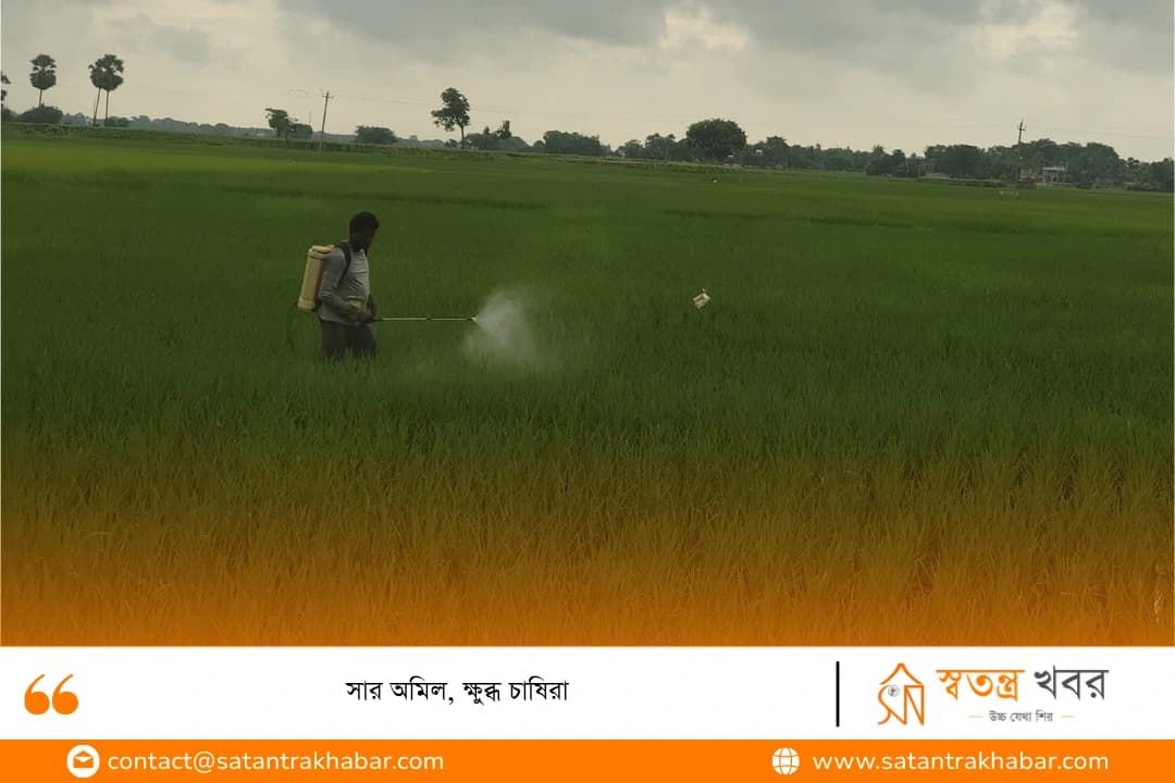 সার অমিল, ক্ষুব্ধ চাষিরা