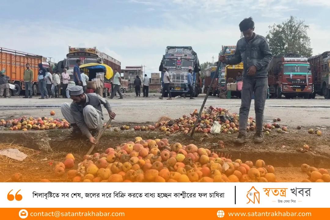 শিলাবৃষ্টিতে সব শেষ, জলের দরে বিক্রি করতে বাধ্য হচ্ছেন কাশ্মীরের ফল চাষিরা