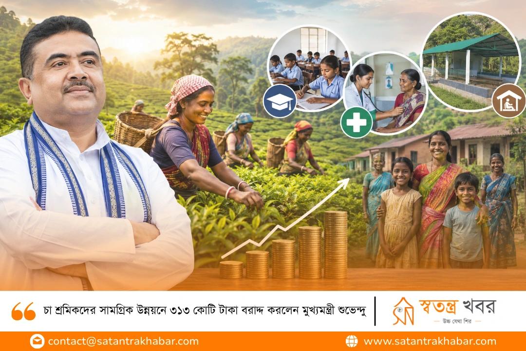 চা শ্রমিকদের সামগ্রিক উন্নয়নে ৩১৩ কোটি টাকা বরাদ্দ করলেন মুখ্যমন্ত্রী শুভেন্দু