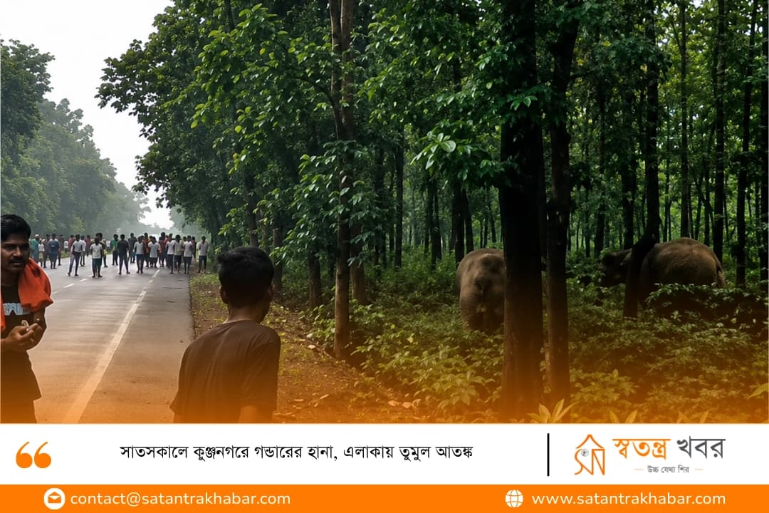 সাতসকালে কুঞ্জনগরে গন্ডারের হানা, এলাকায় তুমুল আতঙ্ক