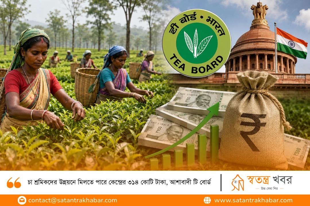 চা শ্রমিকদের উন্নয়নে মিলতে পারে কেন্দ্রের ৩১৪ কোটি টাকা, আশাবাদী টি বোর্ড