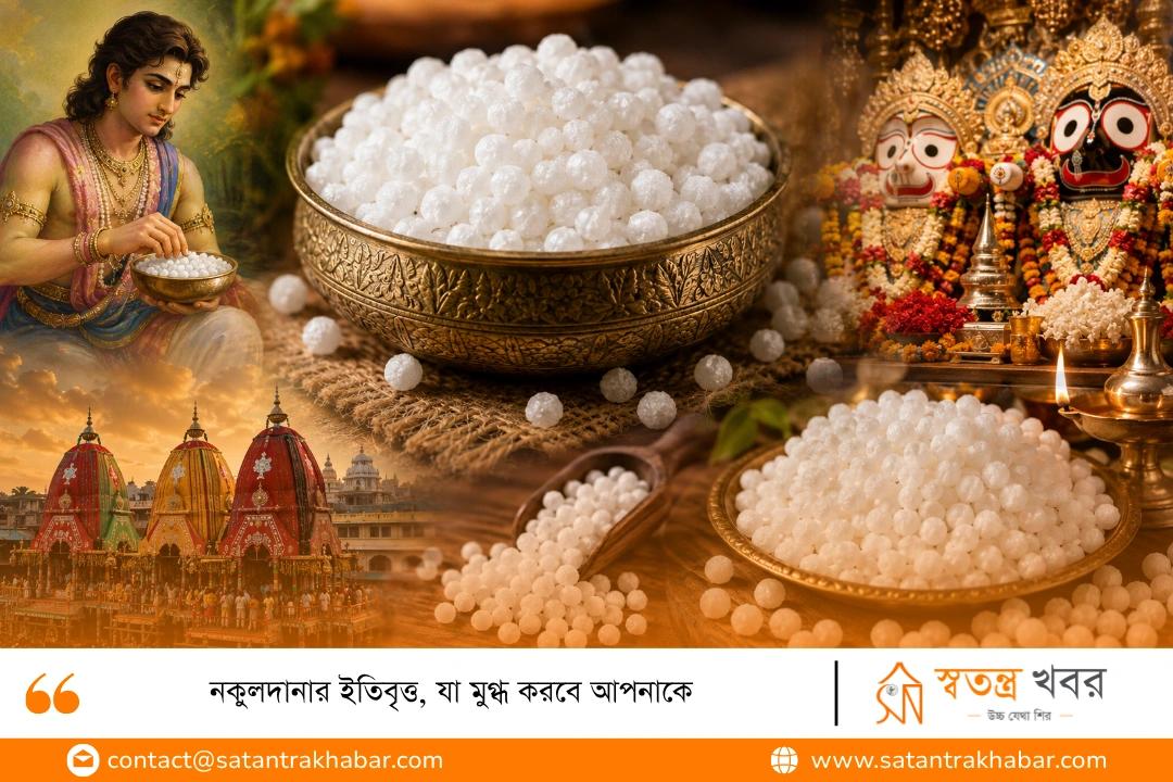 নকুলদানার ইতিবৃত্ত, যা মুগ্ধ করবে আপনাকে
