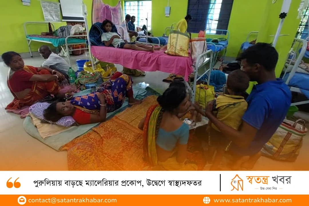পুরুলিয়ায় বাড়ছে ম্যালেরিয়ার প্রকোপ, উদ্বেগে স্বাস্থ্যদফতর
