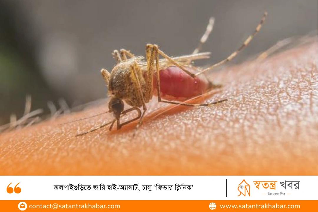 জলপাইগুড়িতে জারি হাই-অ্যালার্ট, চালু ‘ফিভার ক্লিনিক’