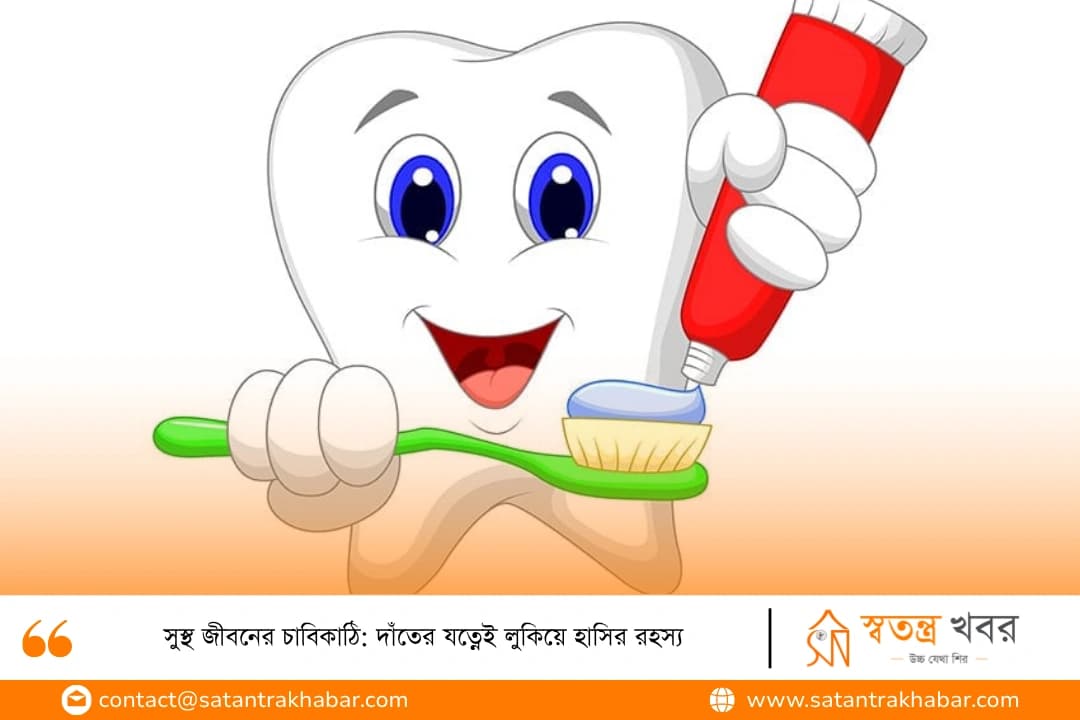 সুস্থ জীবনের চাবিকাঠি: দাঁতের যত্নেই লুকিয়ে হাসির রহস্য
