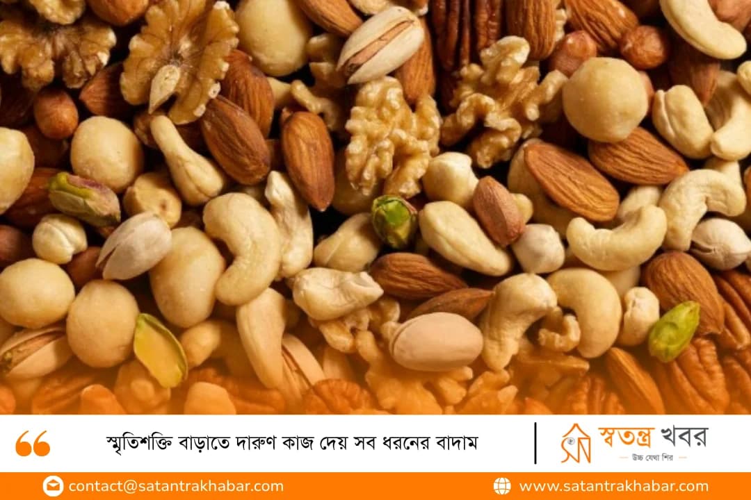 স্মৃতিশক্তি বাড়াতে দারুণ কাজ দেয় সব ধরনের বাদাম