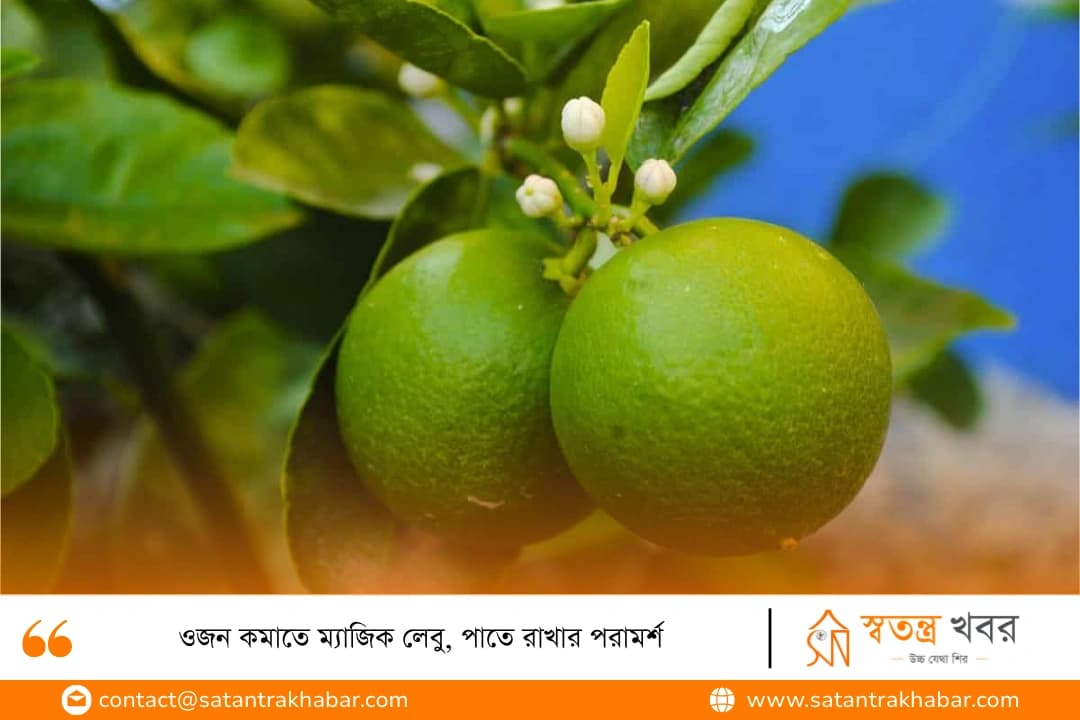 ওজন কমাতে ম্যাজিক লেবু, পাতে রাখার পরামর্শ