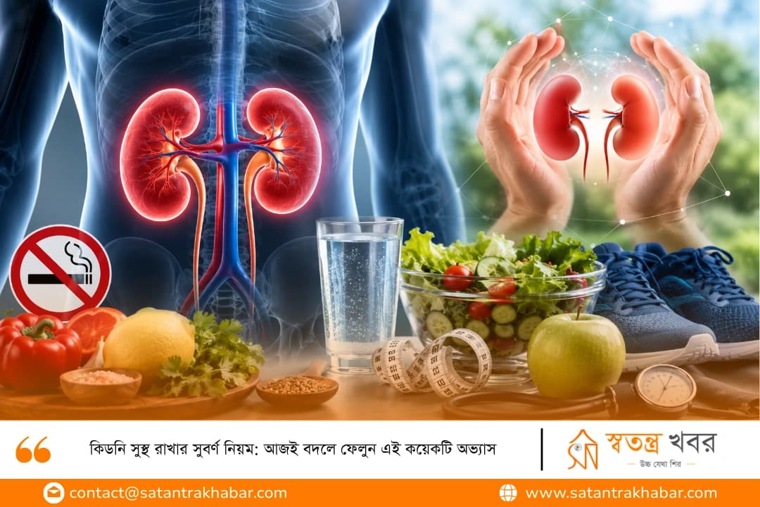কিডনি সুস্থ রাখার সুবর্ণ নিয়ম: আজই বদলে ফেলুন এই কয়েকটি অভ্যাস