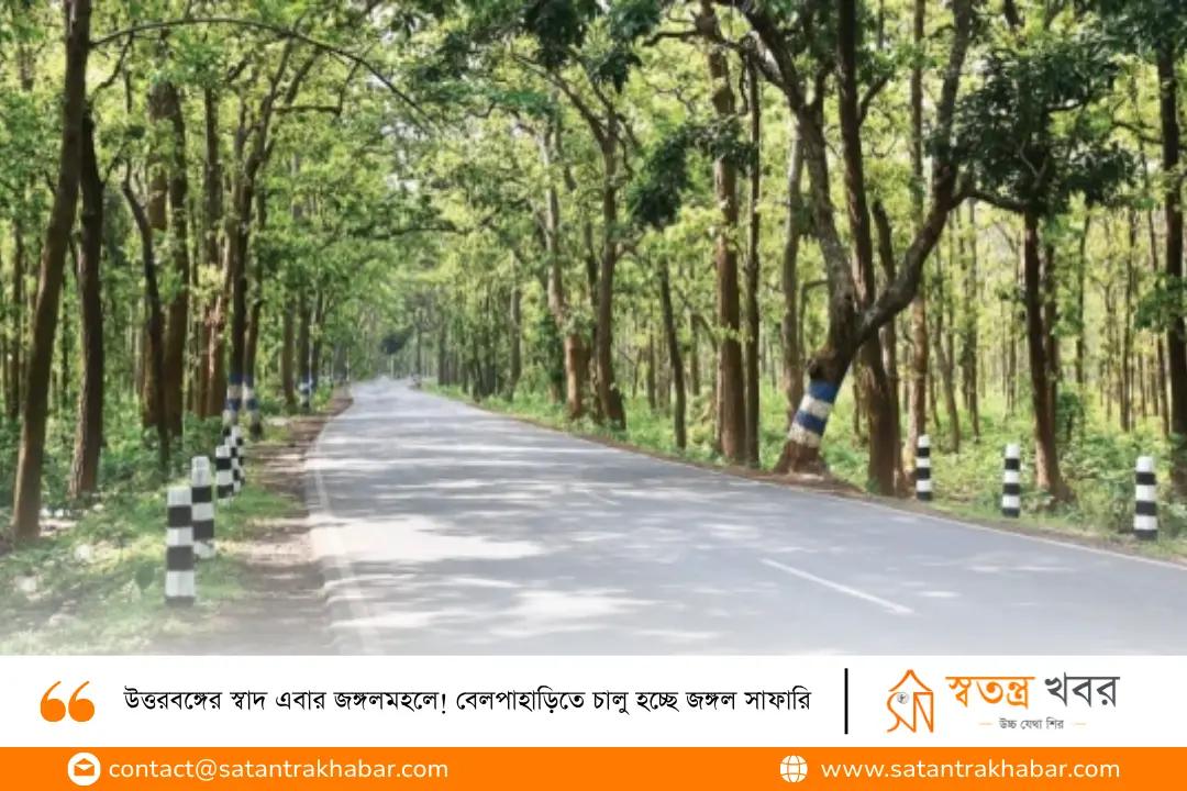 উত্তরবঙ্গের স্বাদ এবার জঙ্গলমহলে! বেলপাহাড়িতে চালু হচ্ছে জঙ্গল সাফারি 