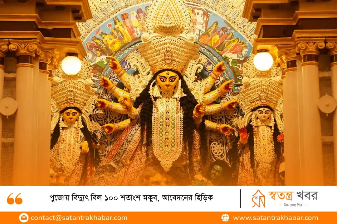 পুজোয় বিদ্যুৎ বিল ১০০ শতাংশ মকুব, আবেদনের হিড়িক