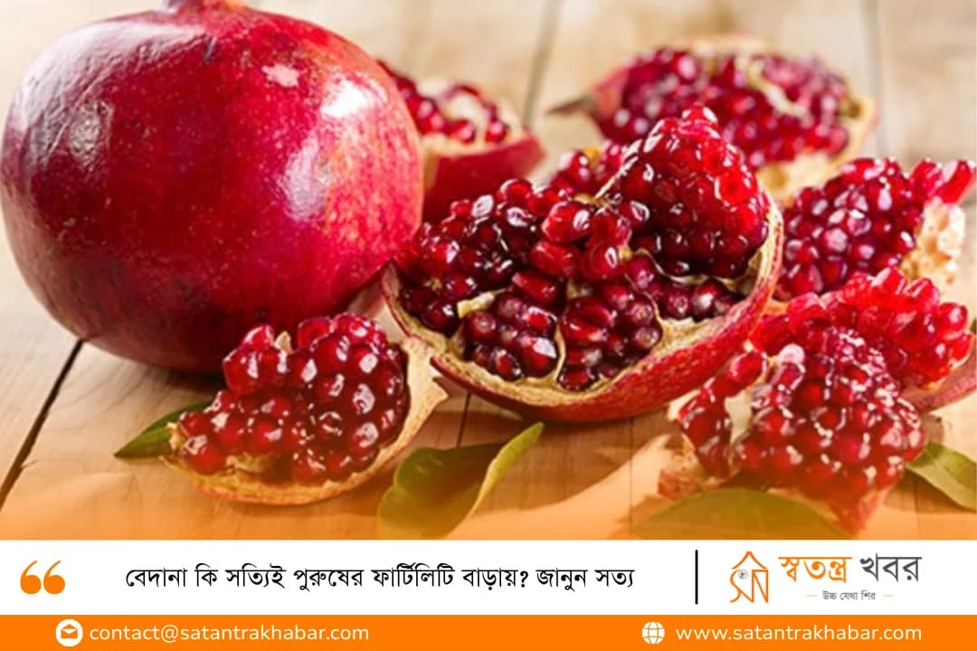 বেদানা কি সত্যিই পুরুষের ফার্টিলিটি বাড়ায়? জানুন সত্য
