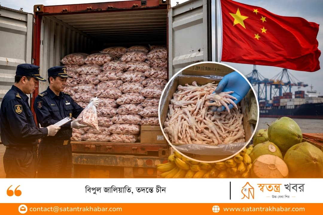 বিপুল জালিয়াতি, তদন্তে চীন