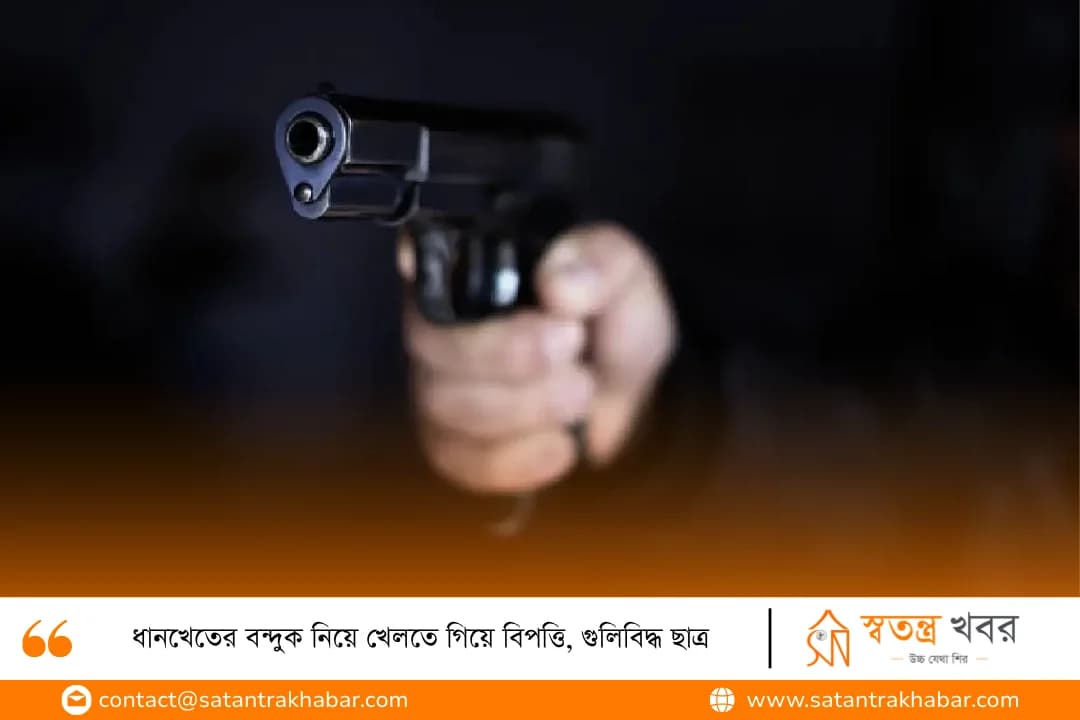 ধানখেতের বন্দুক নিয়ে খেলতে গিয়ে বিপত্তি, গুলিবিদ্ধ ছাত্র