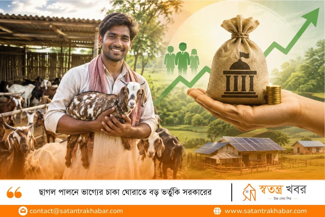ছাগল পালনে ভাগ্যের চাকা ঘোরাতে বড় ভর্তুকি সরকারের