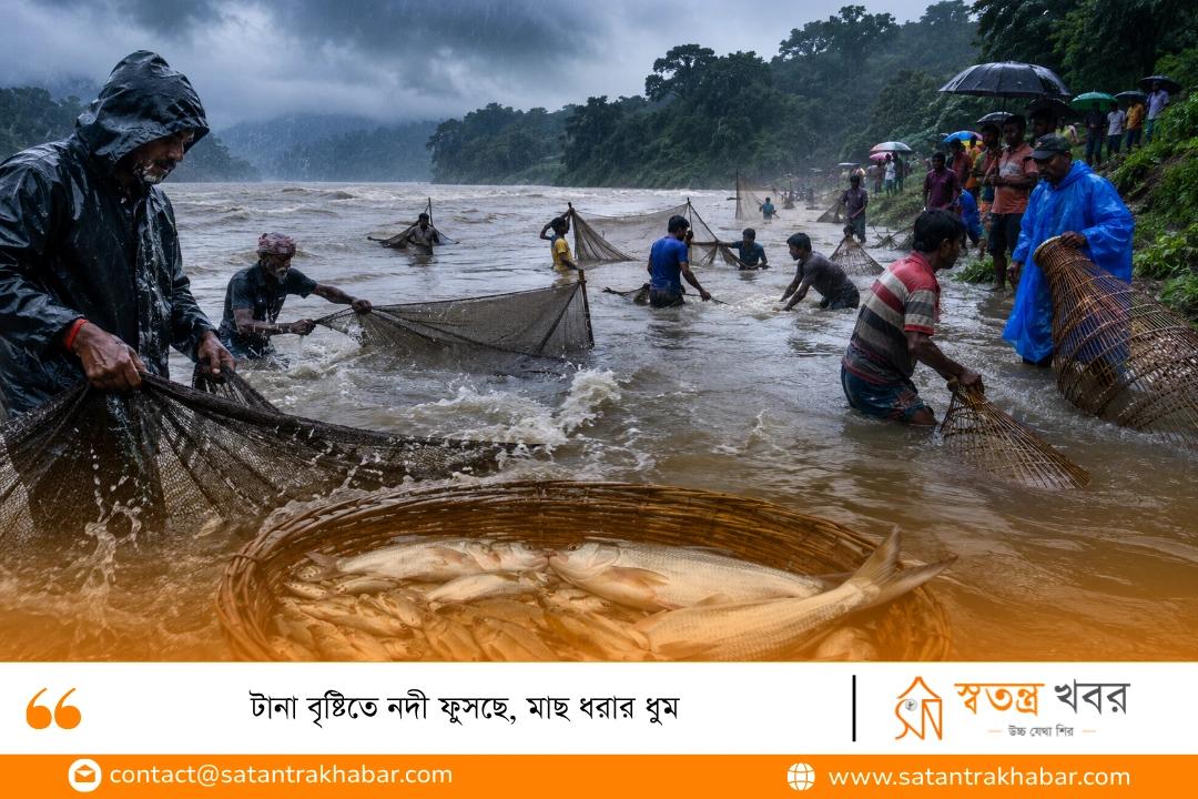 টানা বৃষ্টিতে নদী ফুসছে, মাছ ধরার ধুম