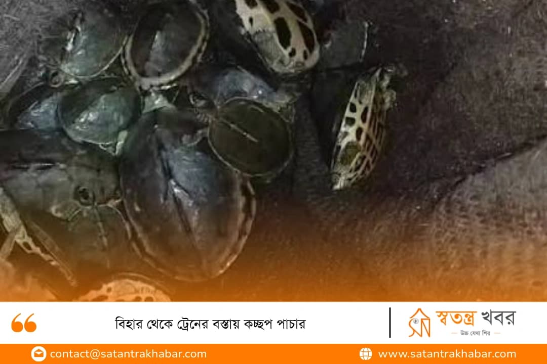 বিহার থেকে ট্রেনের বস্তায় কচ্ছপ পাচার