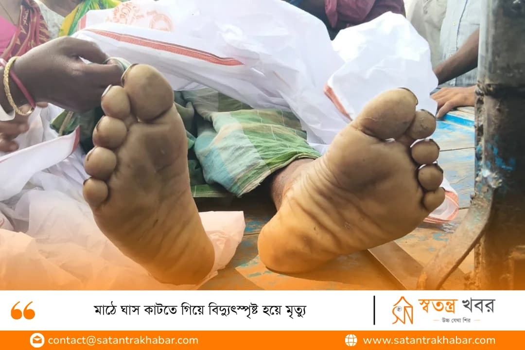 মাঠে ঘাস কাটতে গিয়ে বিদ্যুৎস্পৃষ্ট হয়ে মৃত্যু  