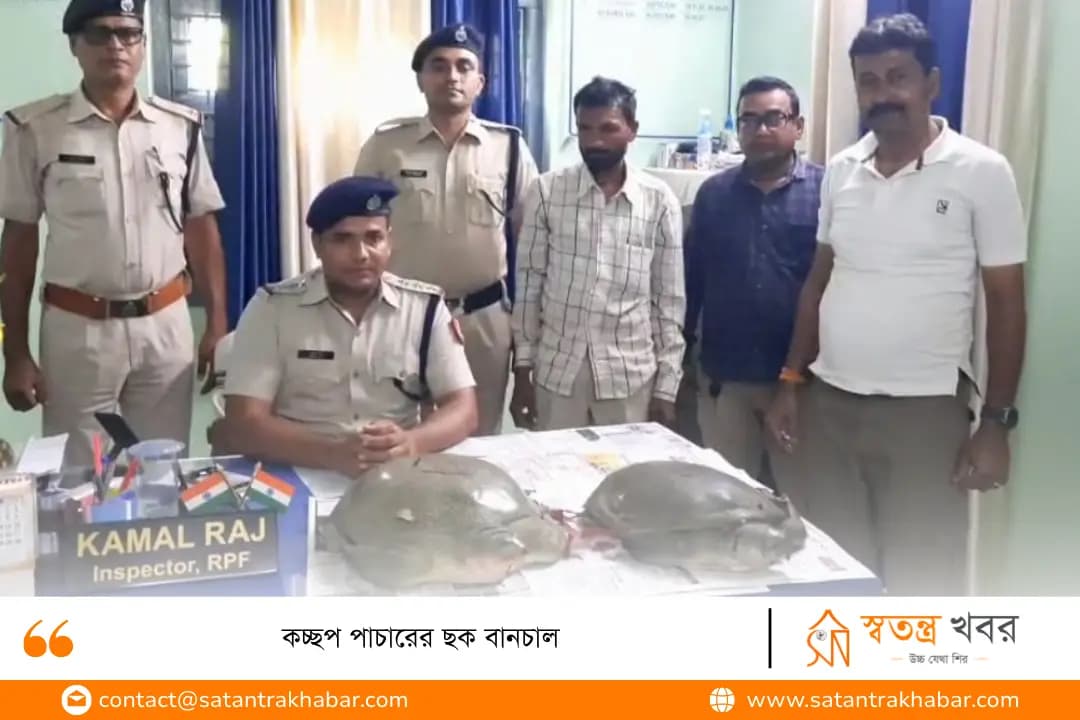 কচ্ছপ পাচারের ছক বানচাল