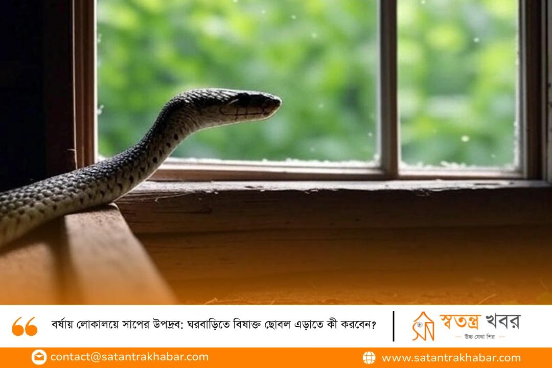 বর্ষায় লোকালয়ে সাপের উপদ্রব: ঘরবাড়িতে বিষাক্ত ছোবল এড়াতে কী করবেন?