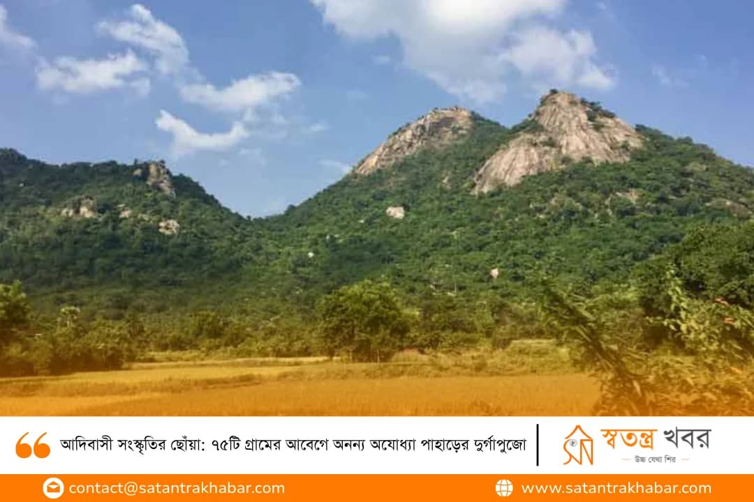 আদিবাসী সংস্কৃতির ছোঁয়া: ৭৫টি গ্রামের আবেগে অনন্য অযোধ্যা পাহাড়ের দুর্গাপুজো
